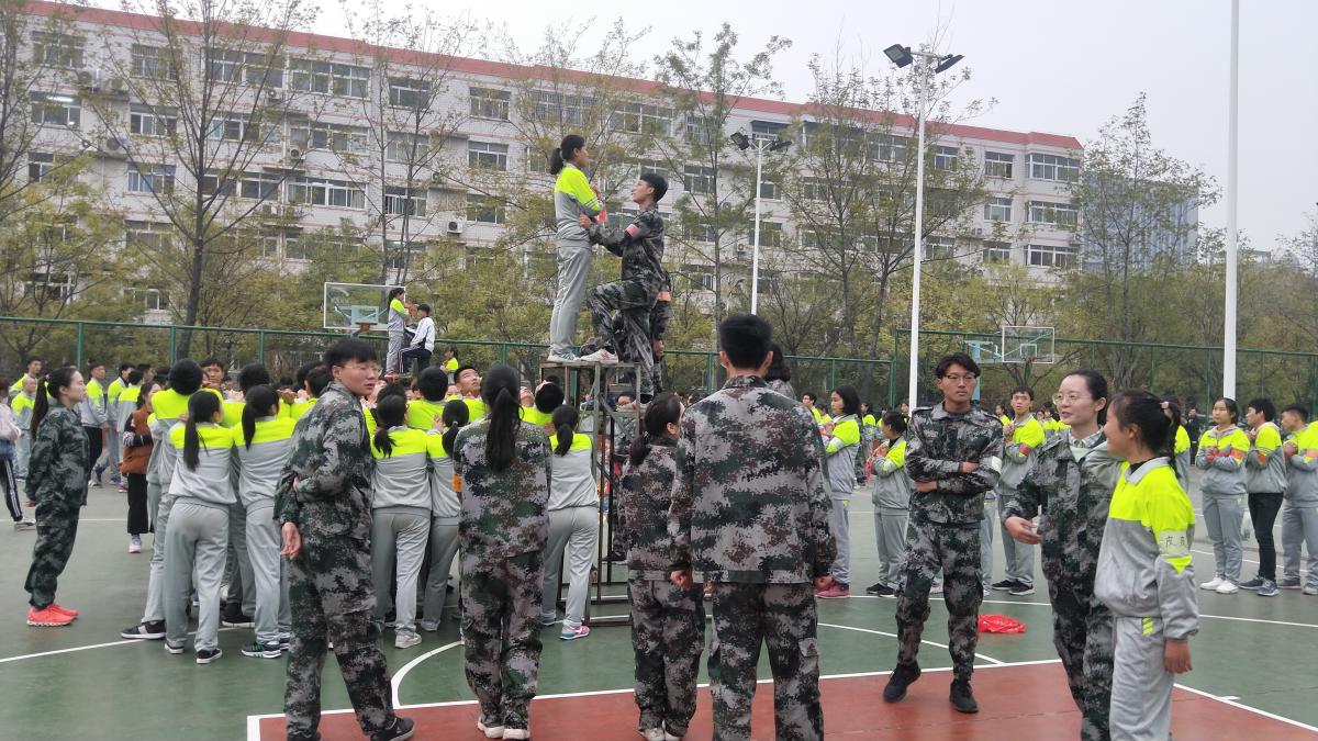 信任背摔 信任背摔